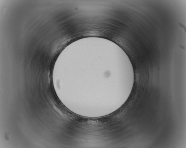 X0000103950302200809191217