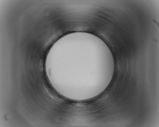 X0000103950303200809191217