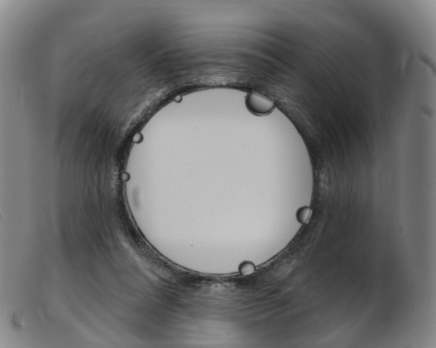 X0000103950304200809191217