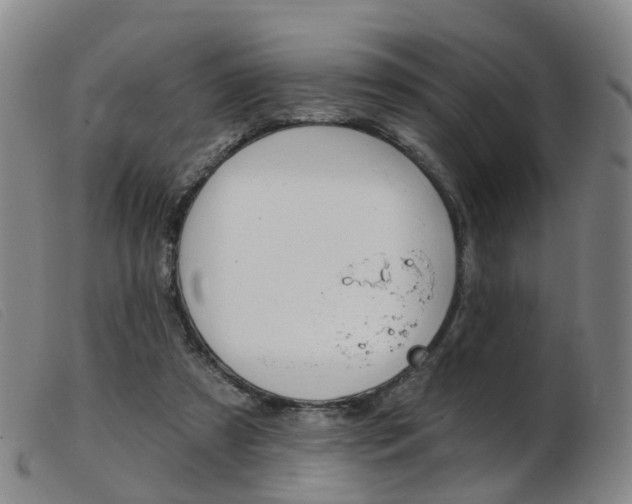 X0000103950305200809191217