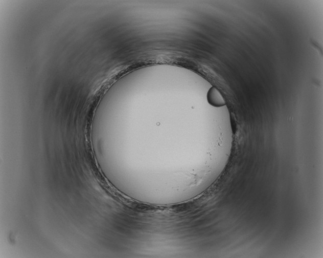 X0000103950306200809191217