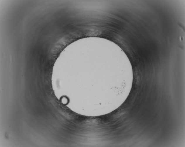 X0000103950307200809191217