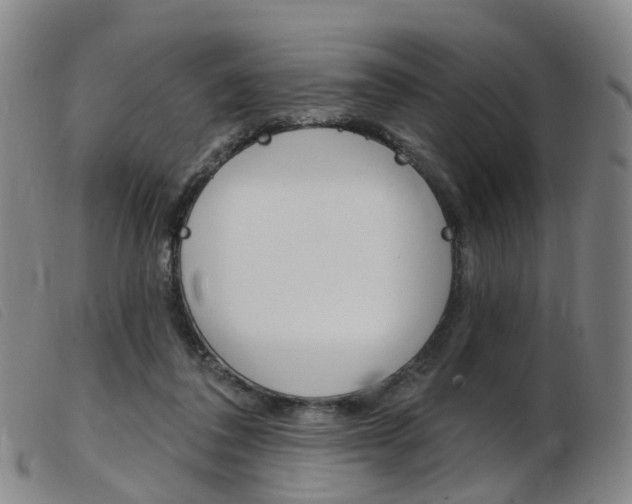 X0000103950308200809191217