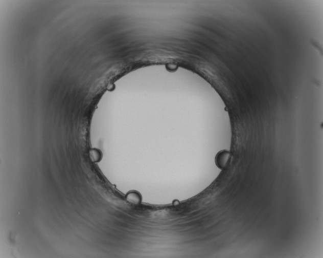 X0000103950309200809191217