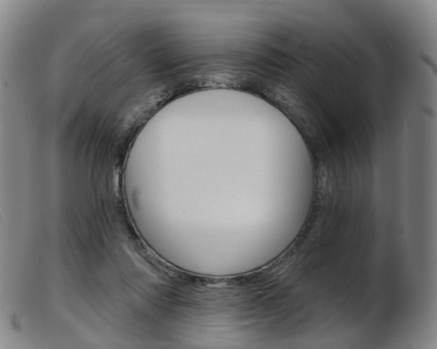X0000103950310200809191217