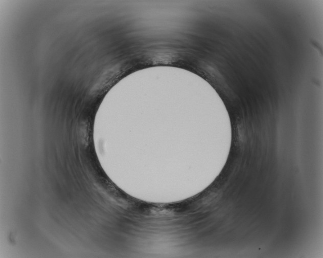 X0000103950311200809191217