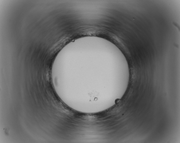 X0000103950313200809191217