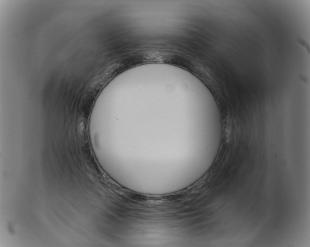 X0000103950314200809191217