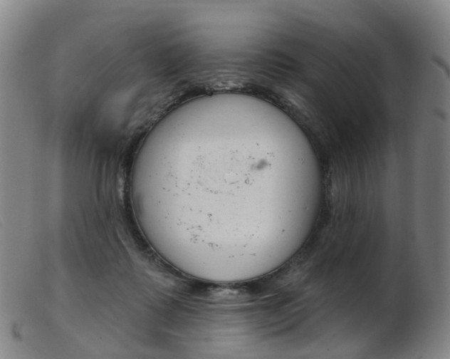 X0000103950315200809191217