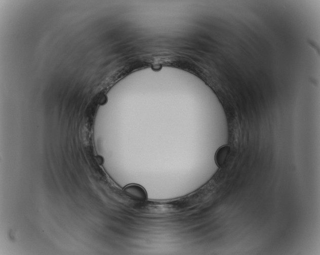 X0000103950316200809191217