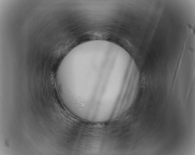 X0000103950318200809191217