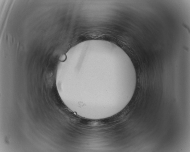 X0000103950319200809191217
