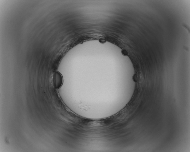 X0000103950320200809191217
