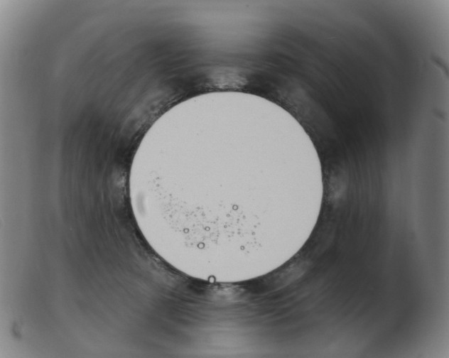 X0000103950321200809191217