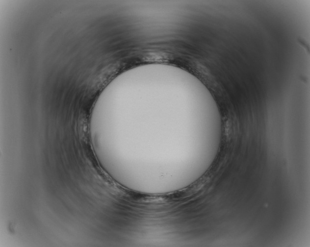 X0000103950322200809191217