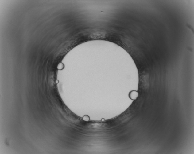 X0000103950323200809191217
