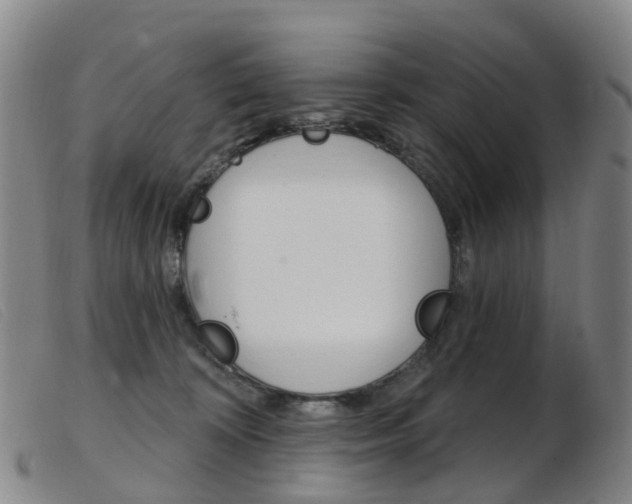 X0000103950324200809191217