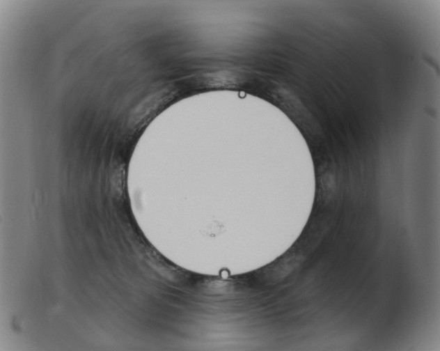 X0000103950325200809191217