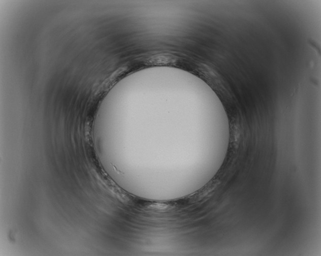 X0000103950326200809191217