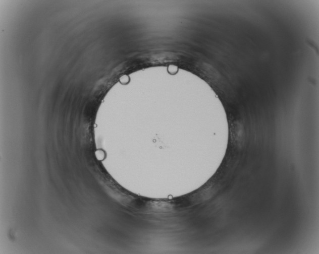 X0000103950327200809191217