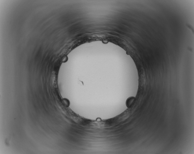 X0000103950328200809191216