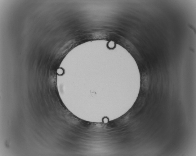 X0000103950329200809191216