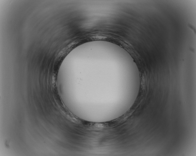 X0000103950330200809191216