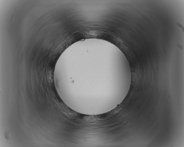 X0000103950331200809191216
