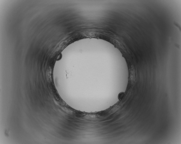 X0000103950332200809191216