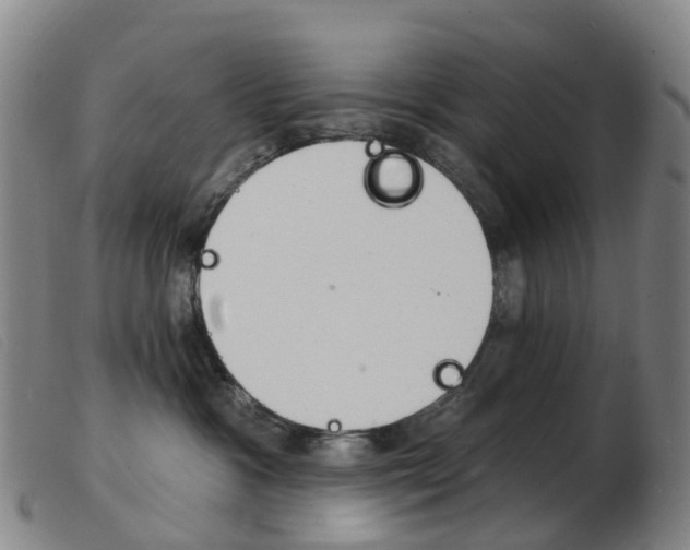 X0000103950333200809191216