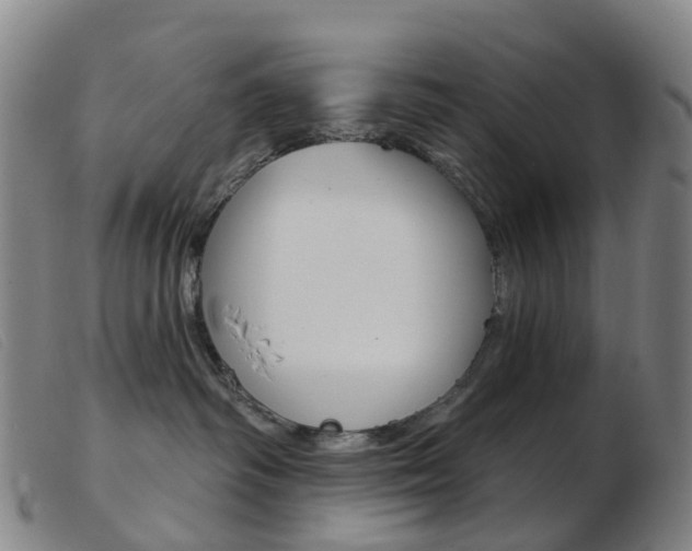 X0000103950334200809191216