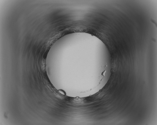 X0000103950335200809191216