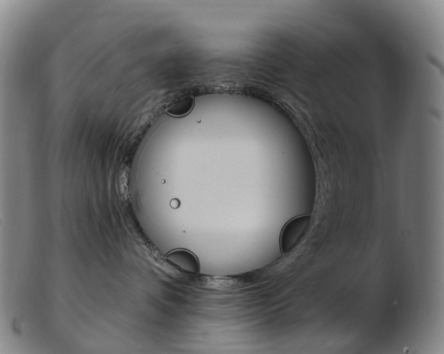 X0000103950336200809191216