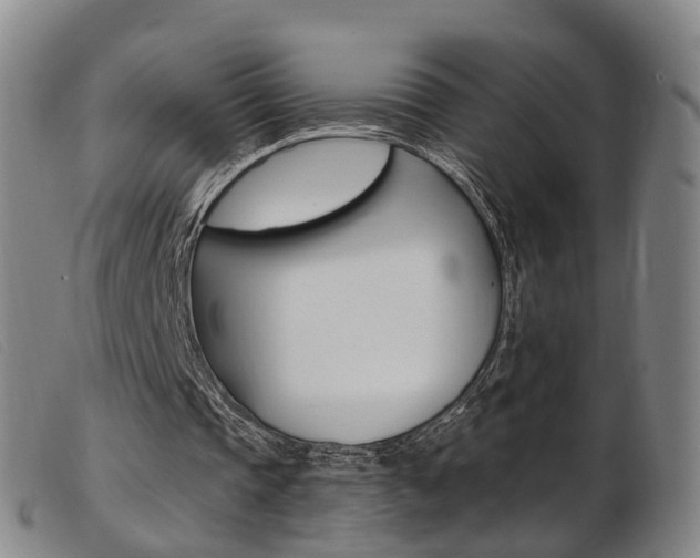 X0000103950337200809191216