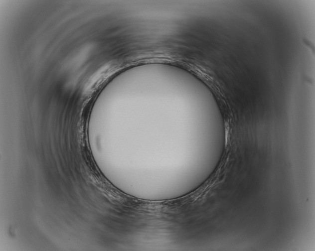 X0000103950339200809191216