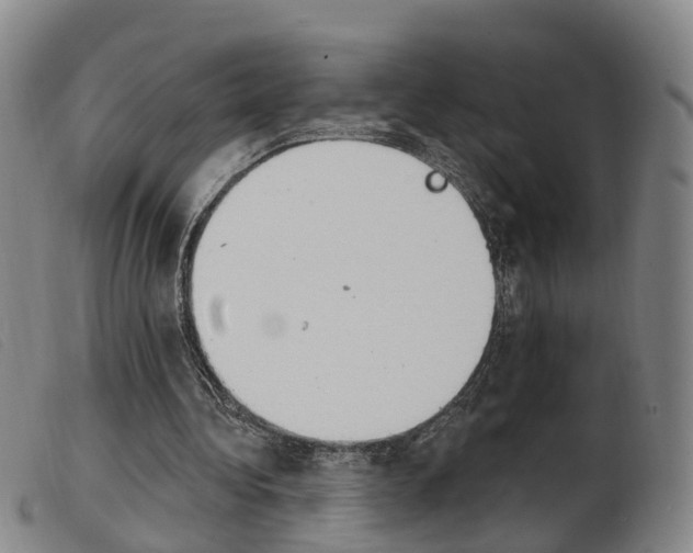 X0000103950340200809191216