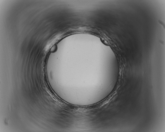 X0000103950341200809191216