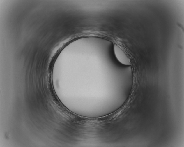 X0000103950342200809191216