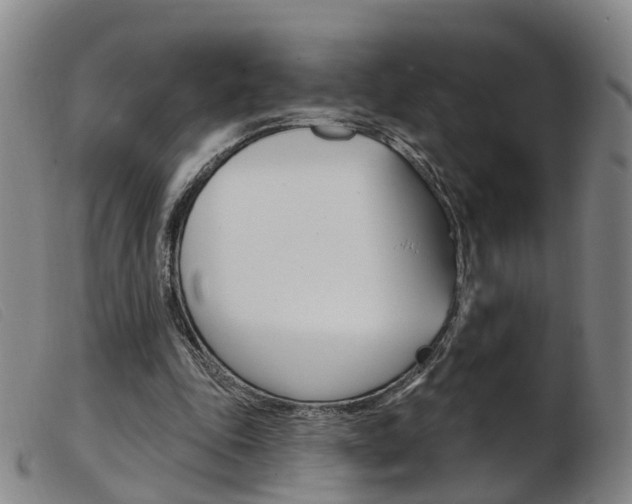 X0000103950343200809191216