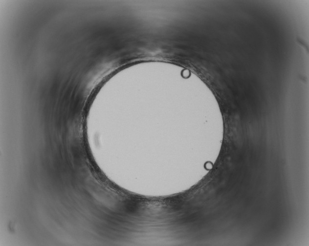 X0000103950344200809191216