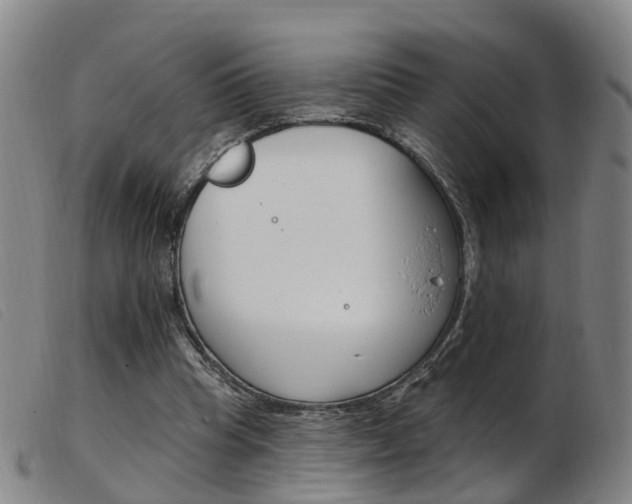 X0000103950345200809191216