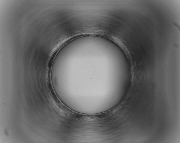 X0000103950346200809191216