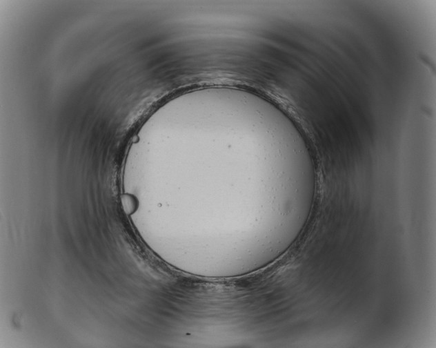 X0000103950347200809191216