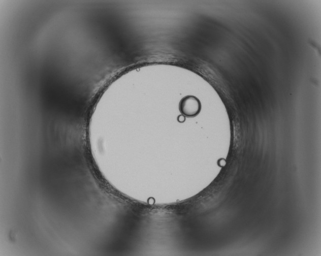 X0000103950348200809191216