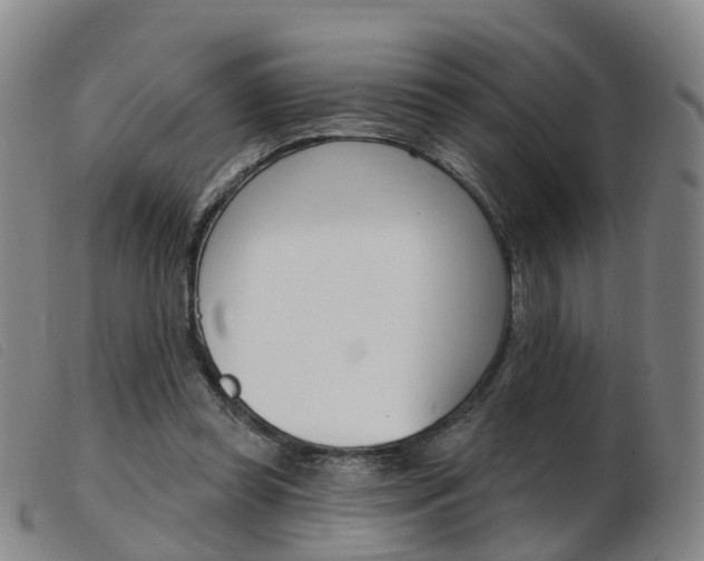 X0000103950349200809191216