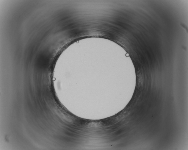 X0000103950350200809191216