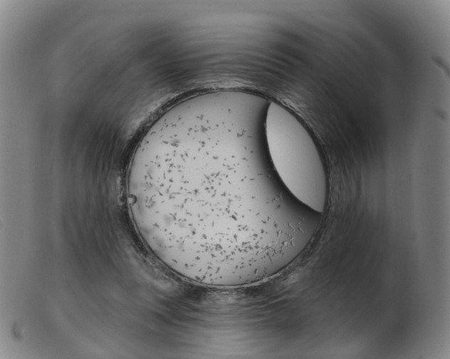X0000103950351200809191216