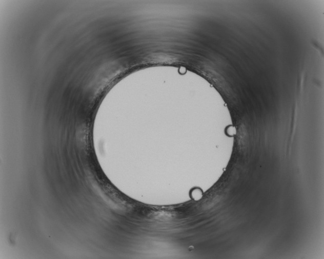 X0000103950352200809191216