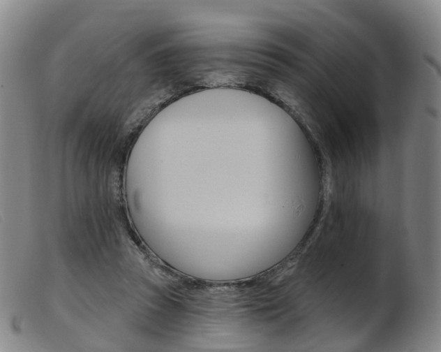 X0000103950353200809191216