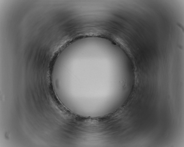 X0000103950354200809191216